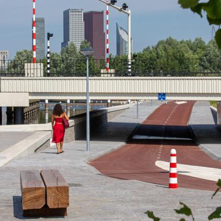Trekvlietbrug 